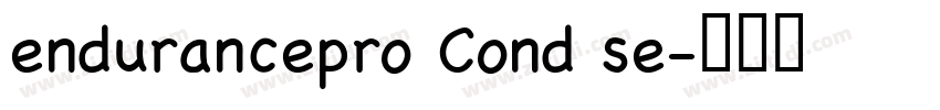 endurancepro Cond se字体转换